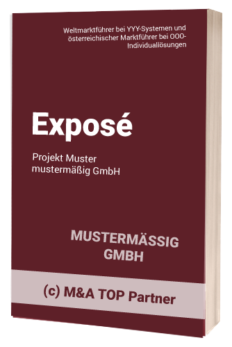 Unternehmensdarstellung – Exposé – M&A TOP Partner Unternehmensdarstellung - Exposé - M&A TOP Partner